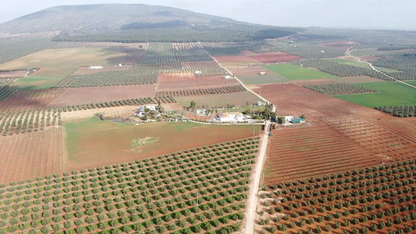 Mollina Ruta del Vino de Ronda y Málaga