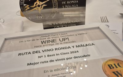 LA RUTA DEL VINO DE RONDA Y MÁLAGA ELEGIDA COMO LA MEJOR DE ESPAÑA EN LOS PREMIOS ‘BEST IN CLASS WINE AWARDS 2024’