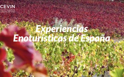 ACEVIN finaliza el proyecto ‘Experiencias Enoturísticas deEspaña’ desarrollado dentro de los fondos NextGeneration EU